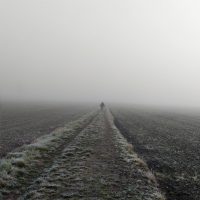 Satya Blog Feature Image